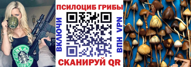 Галлюциногенные грибы прущие грибы  Купить где  Гороховец 