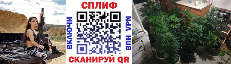 Купить закладки  Гороховец  Конопля марихуана 